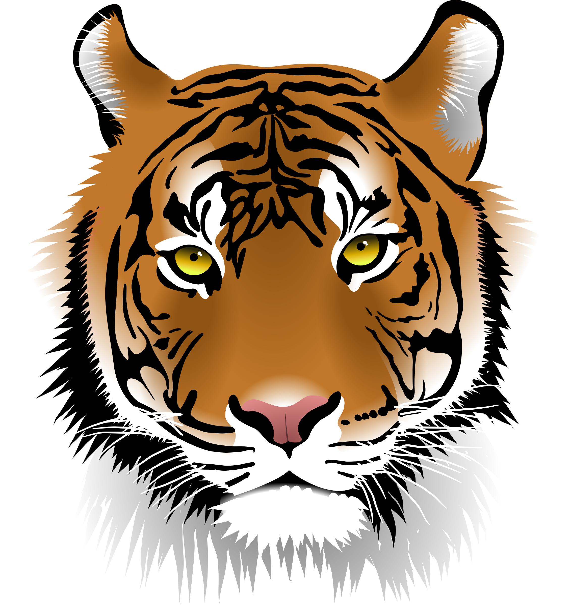 Tiger Face PNG Image