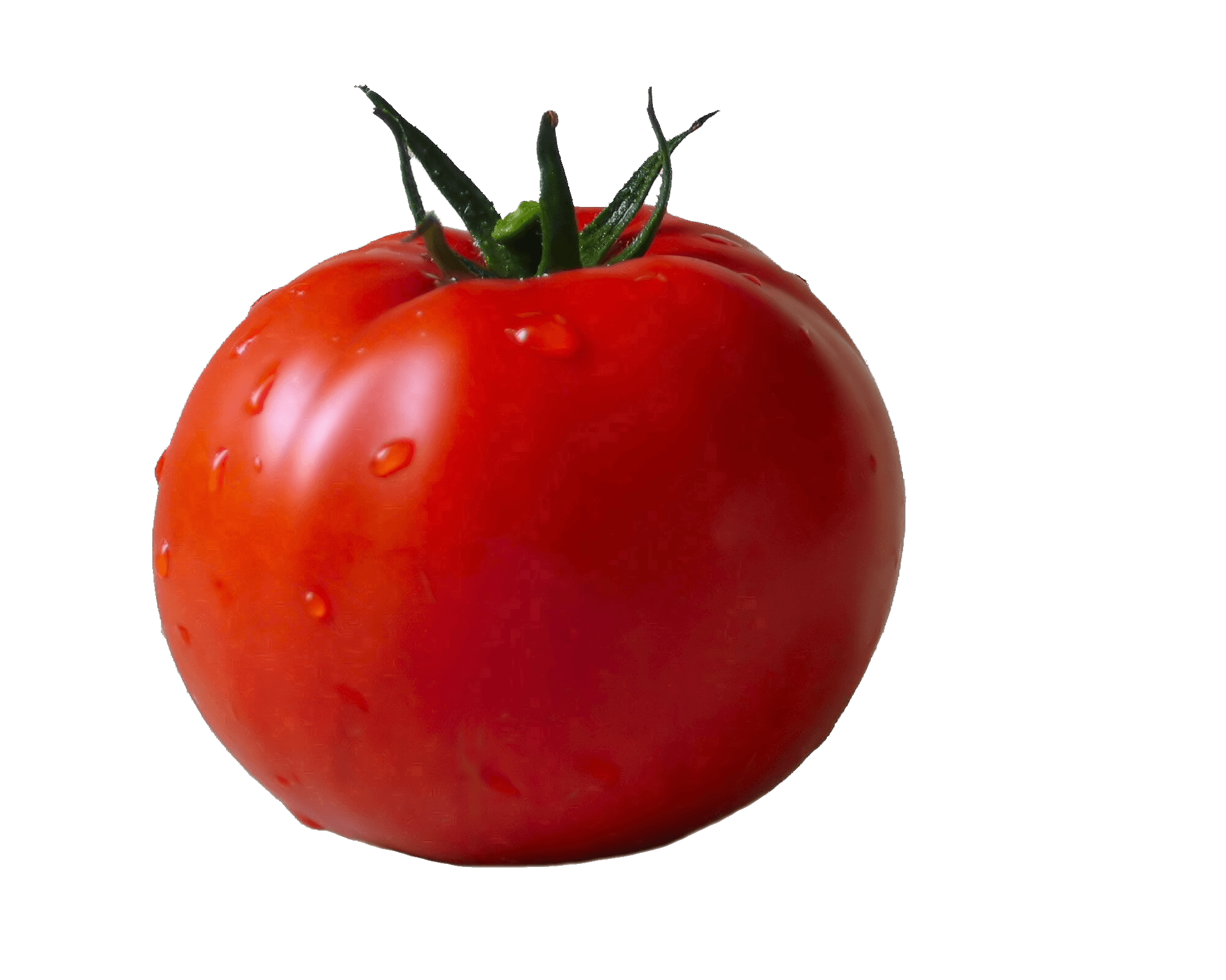 Tomato Png Image PNG Image