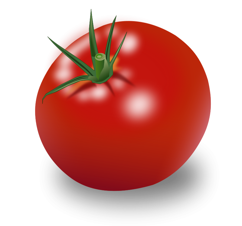 Tomato Vector Free PNG Image