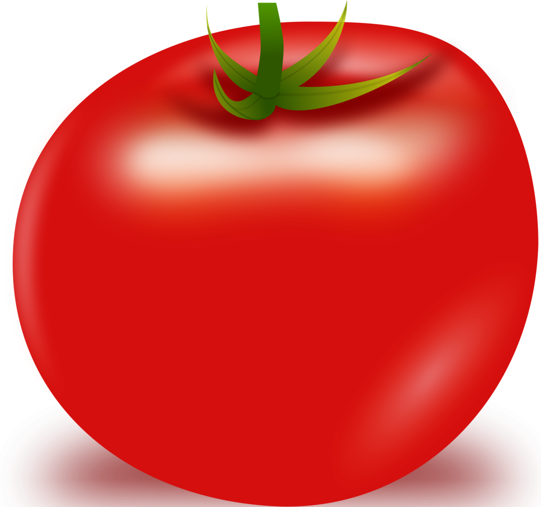 Tomato Vector PNG Image