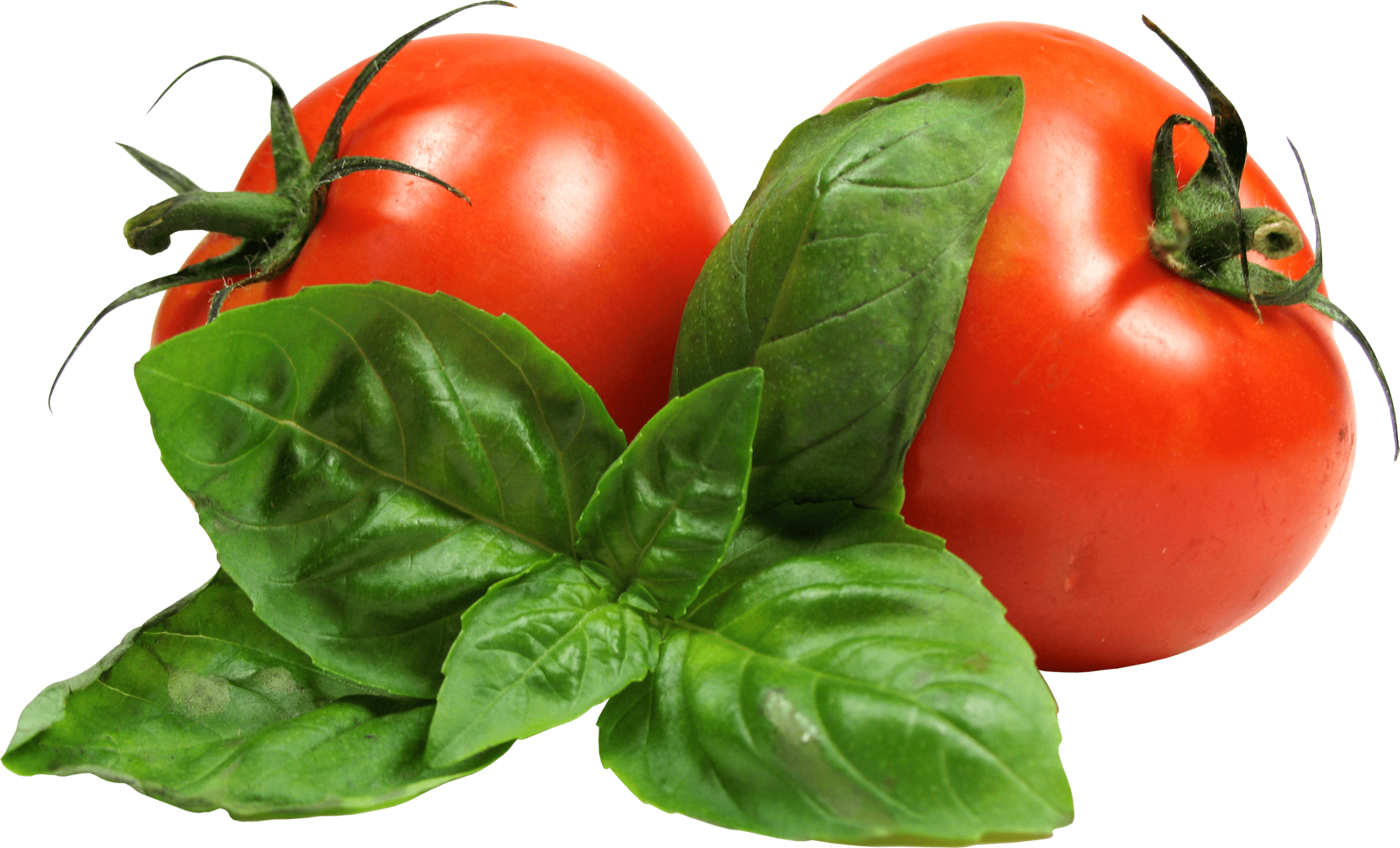 Tomato Png Image Picture Download PNG Image