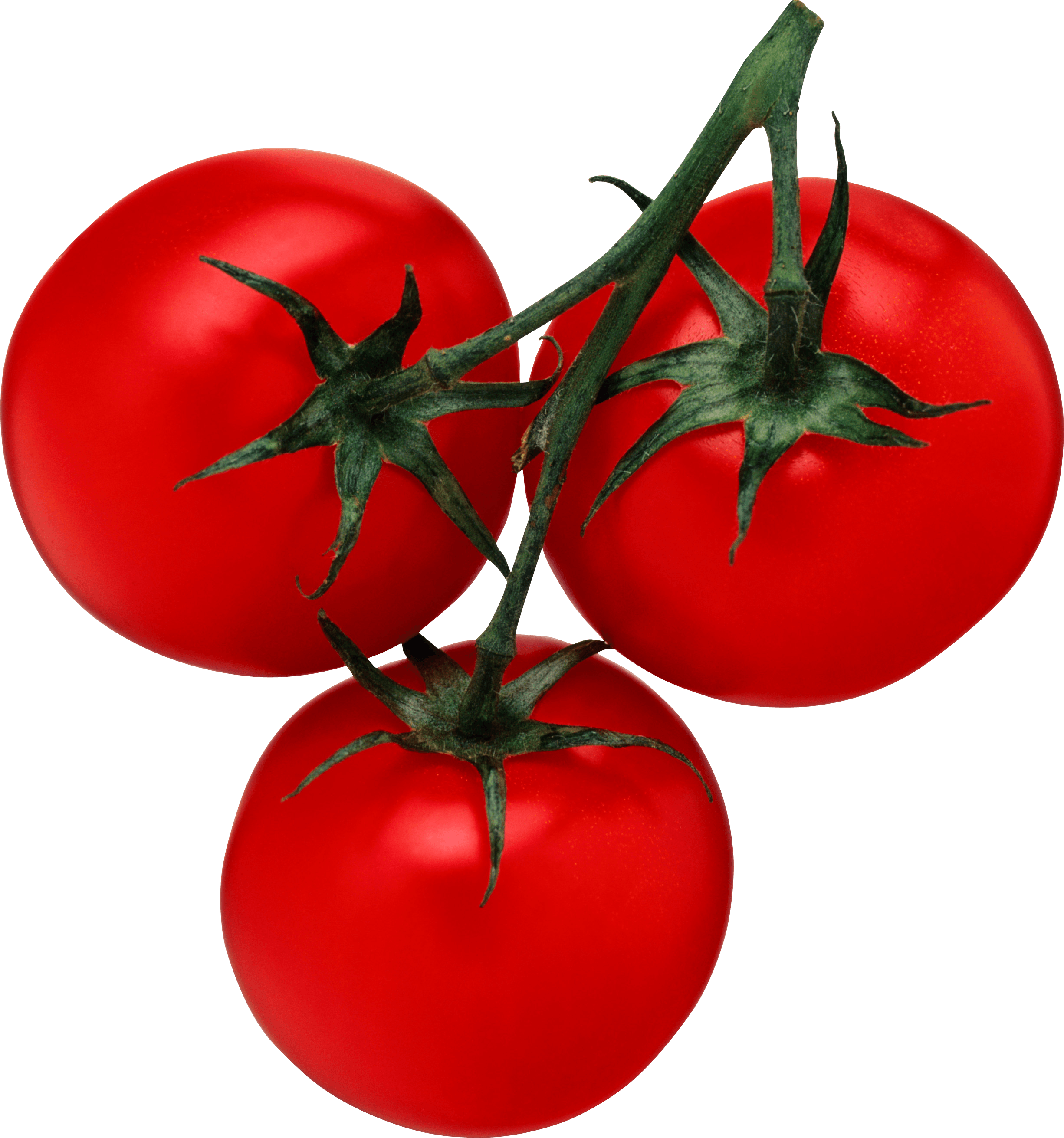 Tomato Png Image PNG Image