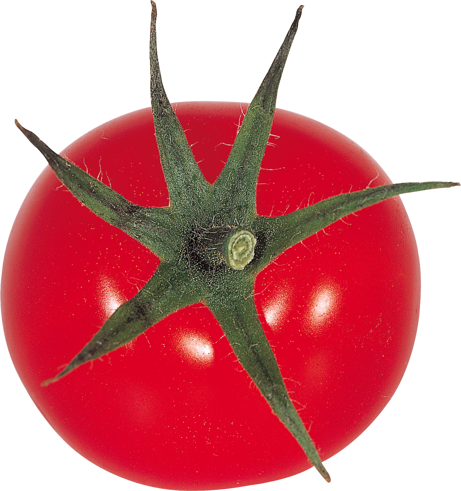 Tomato Png Image PNG Image