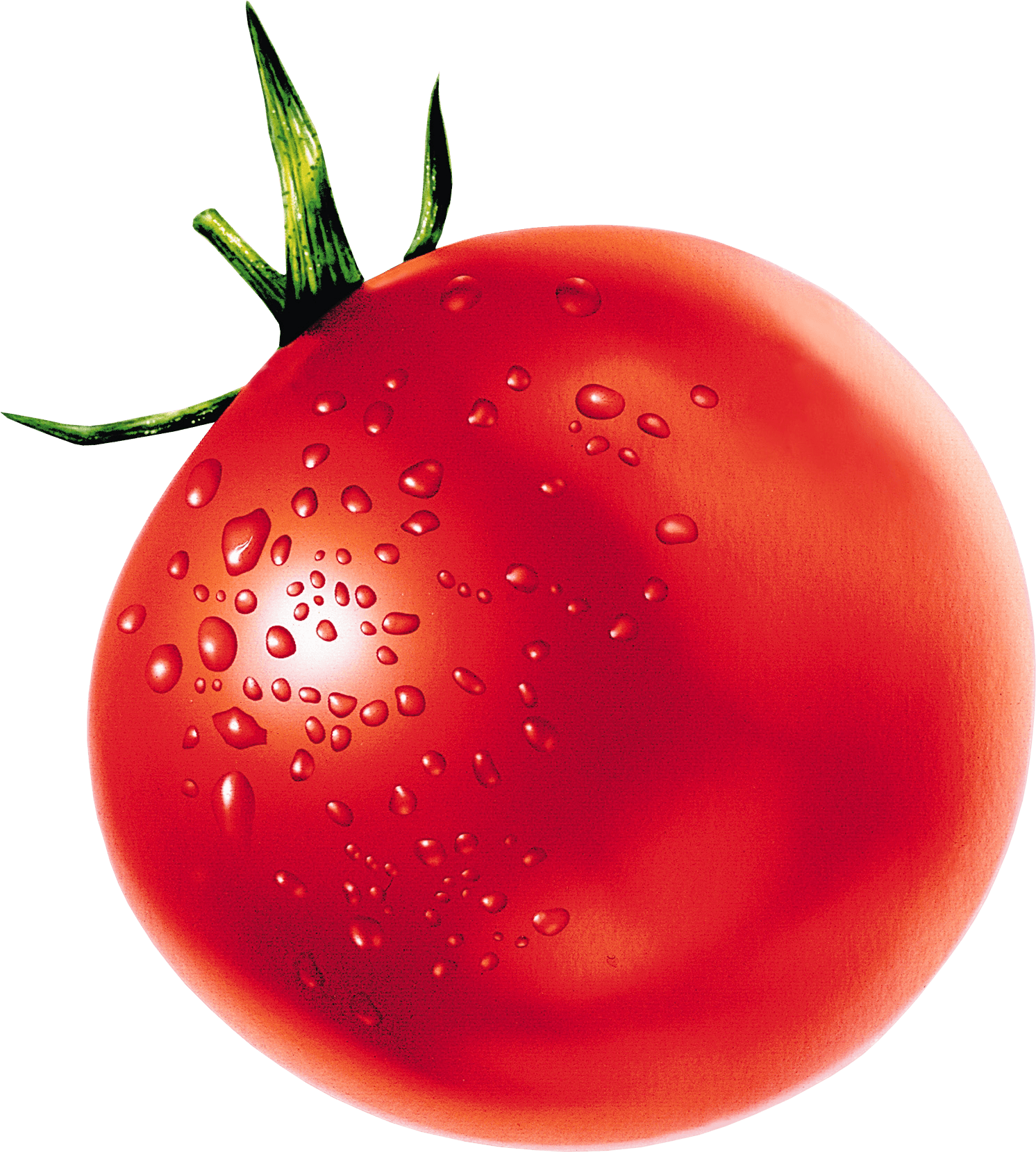 Tomato Png Image PNG Image