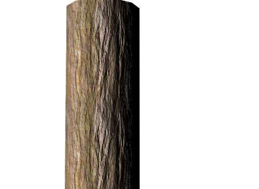Tree Trunk Free Transparent Image HQ PNG Image