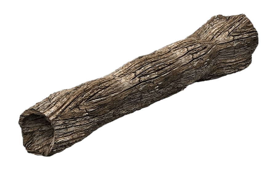 Tree Trunk Free Clipart HD PNG Image