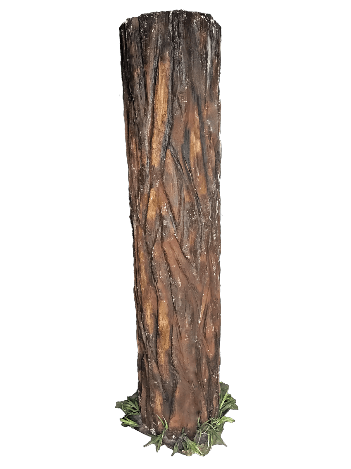Pic Tree Trunk Free Transparent Image HD PNG Image