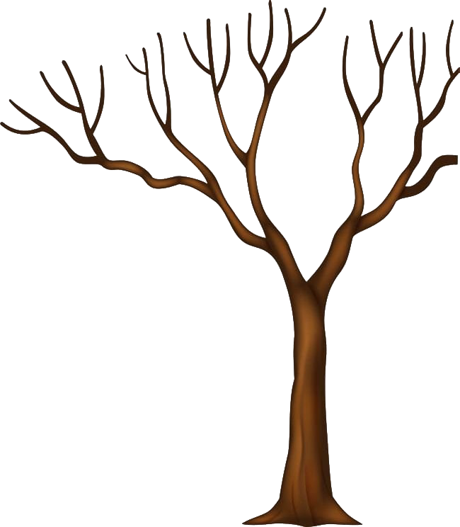 Tree Trunk Download HD PNG Image