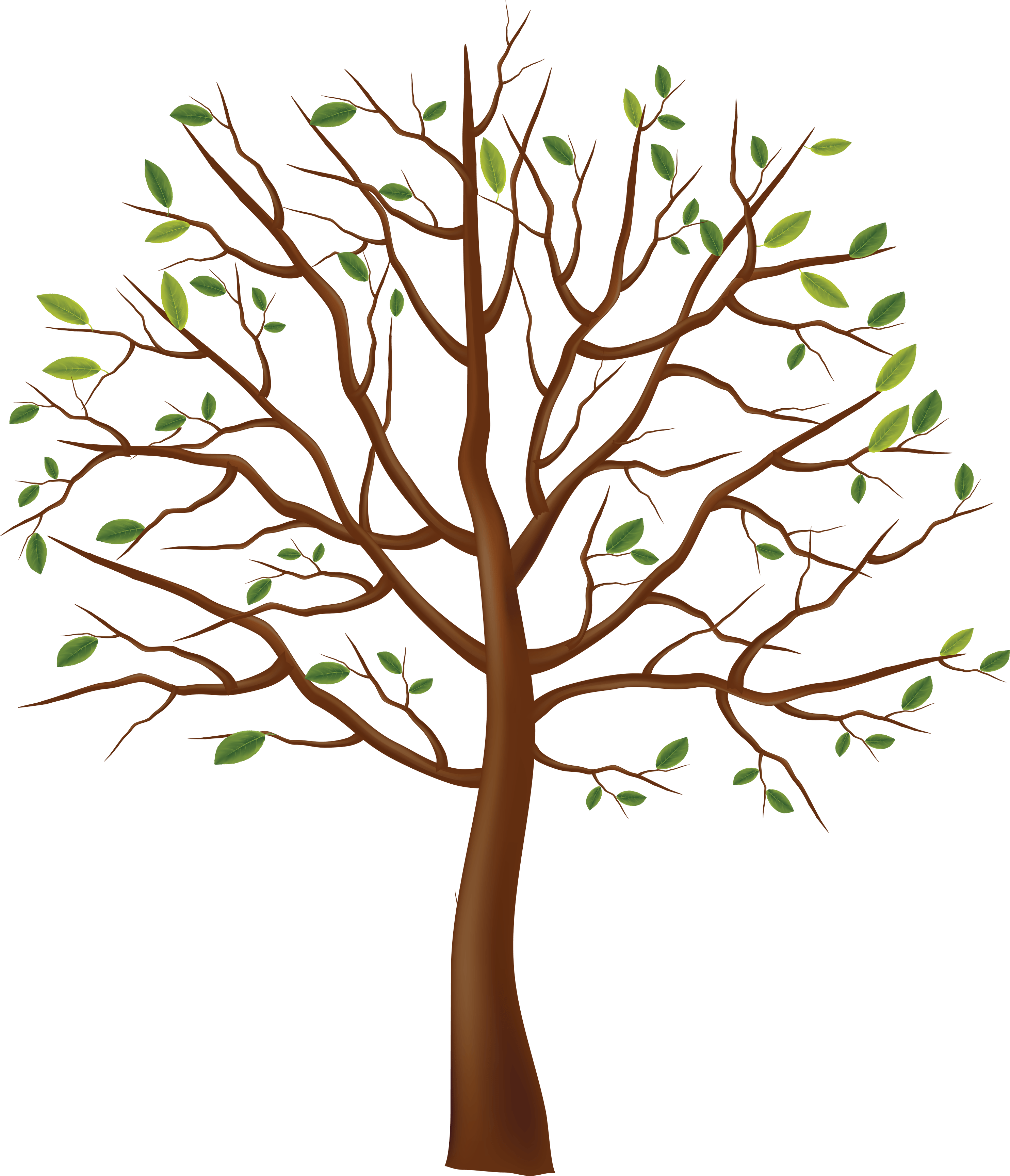 Tree Png Image PNG Image