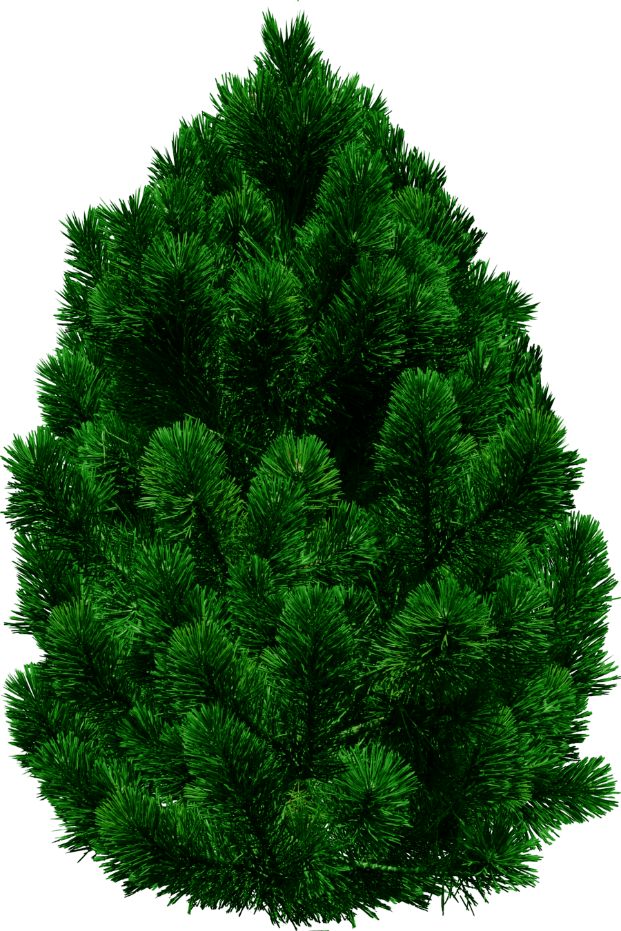 Tree Png Image PNG Image