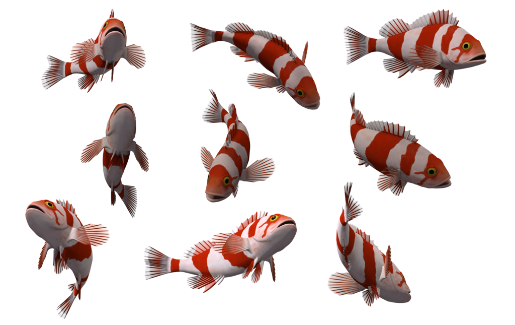 Fish Png 10 PNG Image