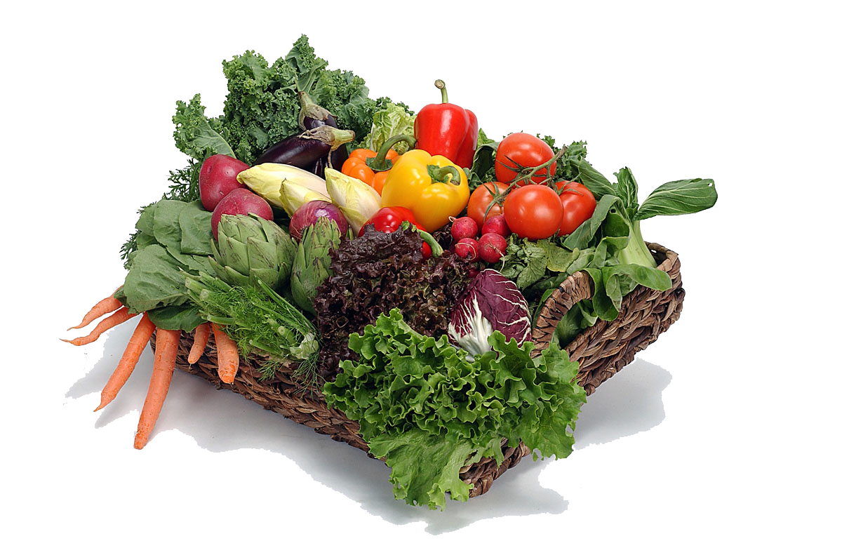 Vegetable Png File PNG Image