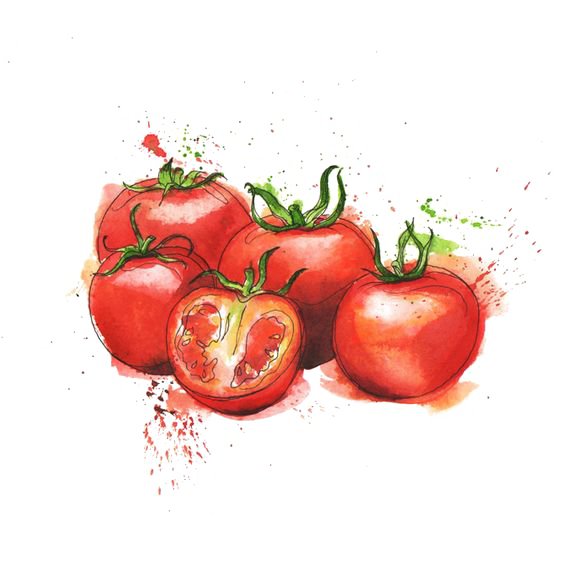 Tomato Cuisine Organic Food Juice Bush Italian PNG Image