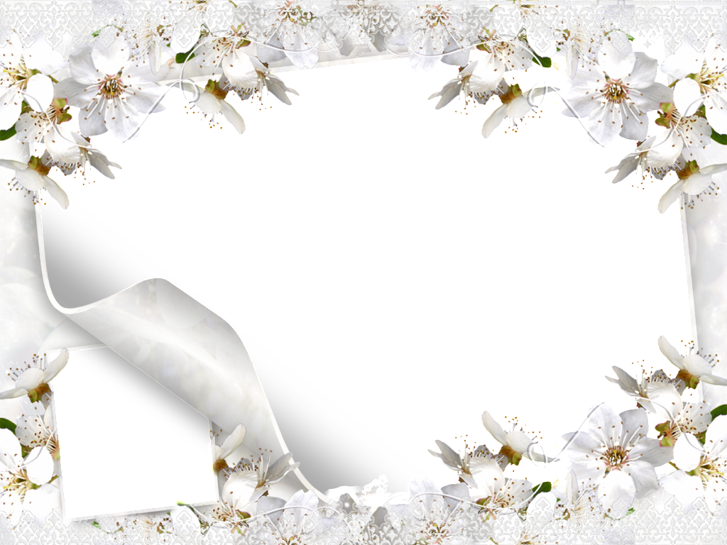 Picture Flower Frame Wallpaper Microsoft Wedding White PNG Image