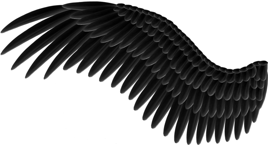 Wings PNG Image