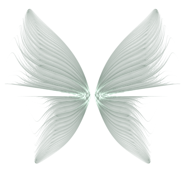 Wings Transparent Background PNG Image