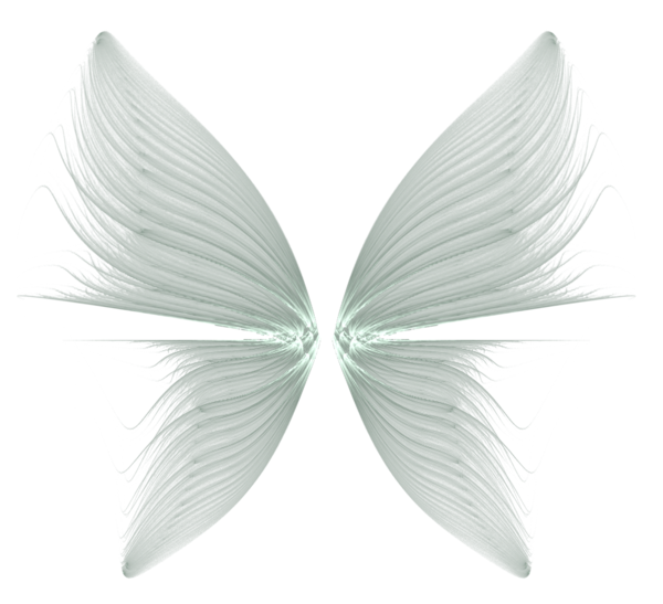 Download Wings Transparent Background HQ PNG Image | FreePNGImg