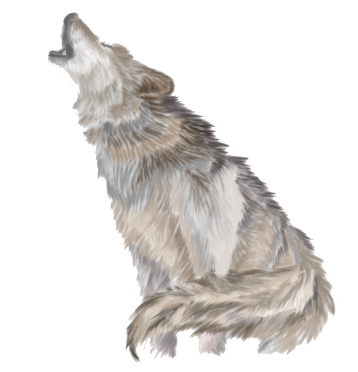 Wolves Howl PNG Image