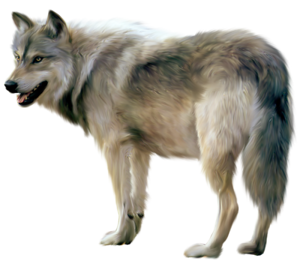 Wolf Free Png Image PNG Image