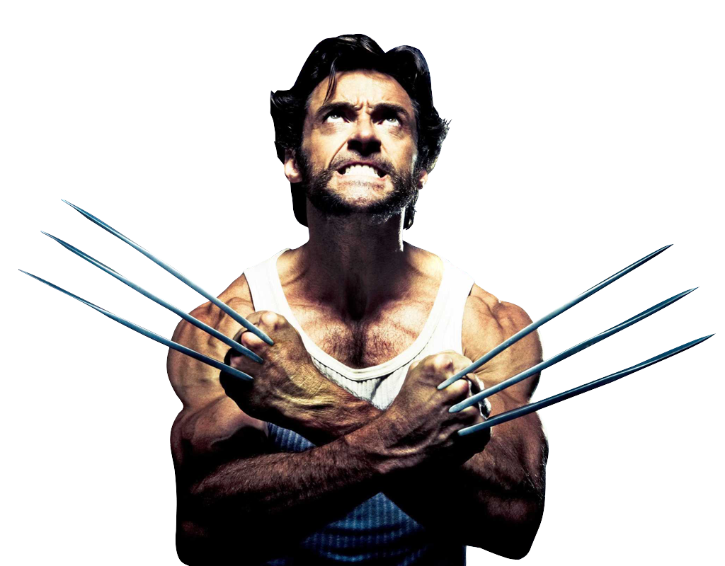 Wolverine Png Picture PNG Image