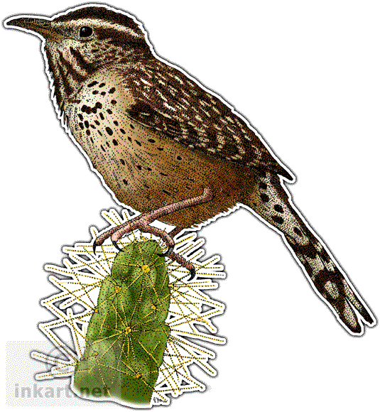 Wren Png PNG Image