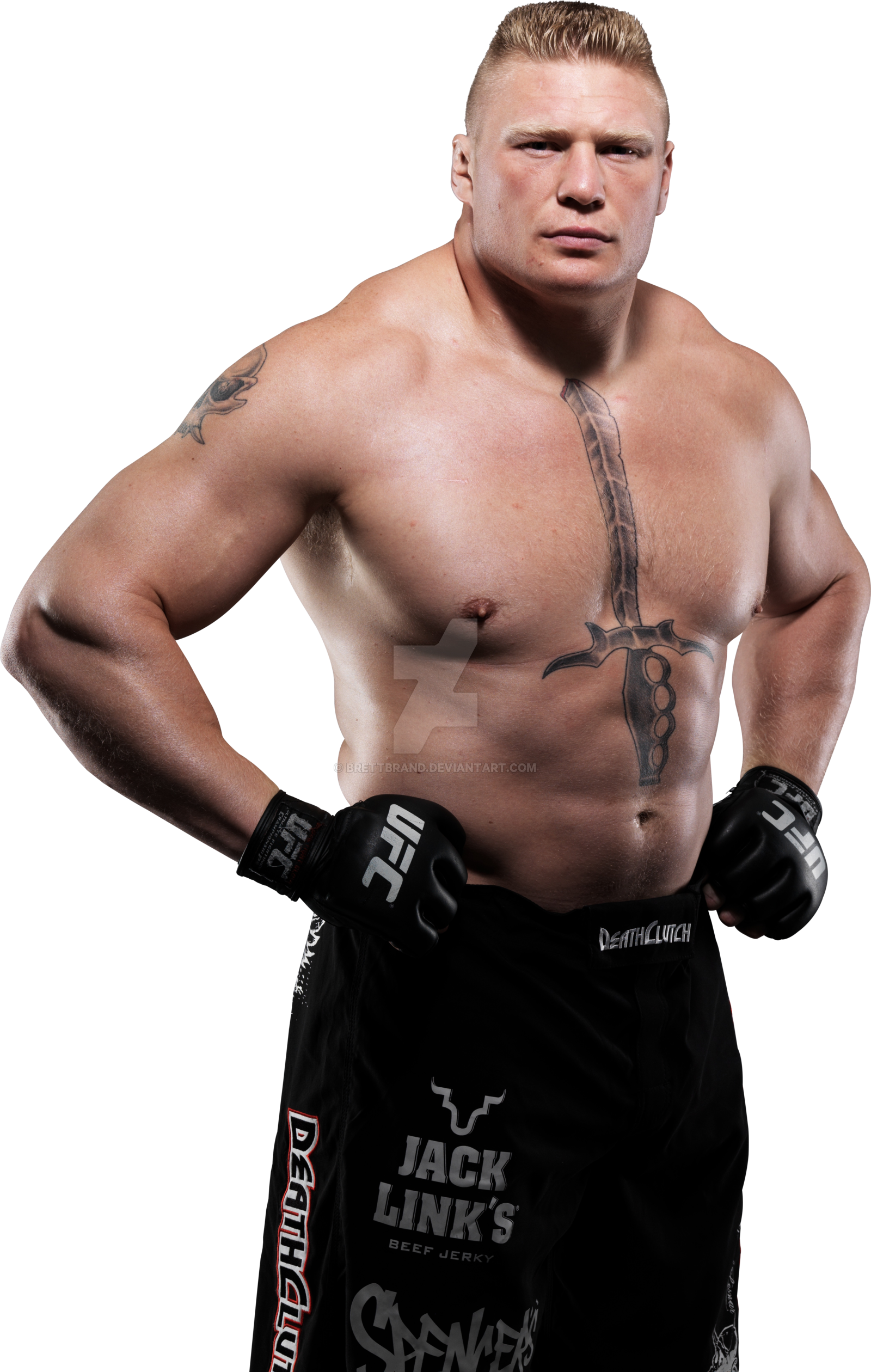 Brock Lesnar Transparent Image PNG Image