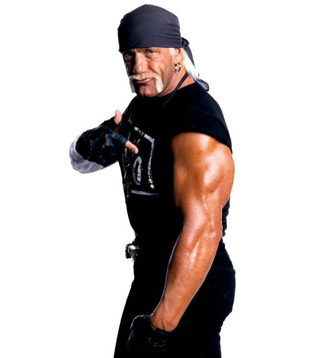 Hulk Hogan File PNG Image