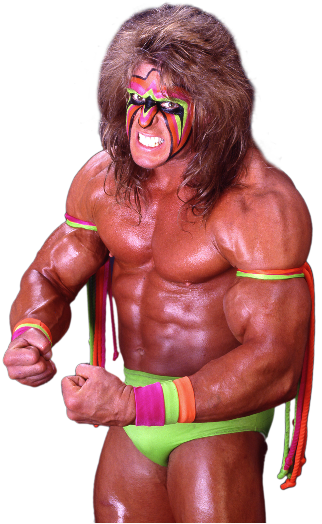 The Ultimate Warrior File PNG Image