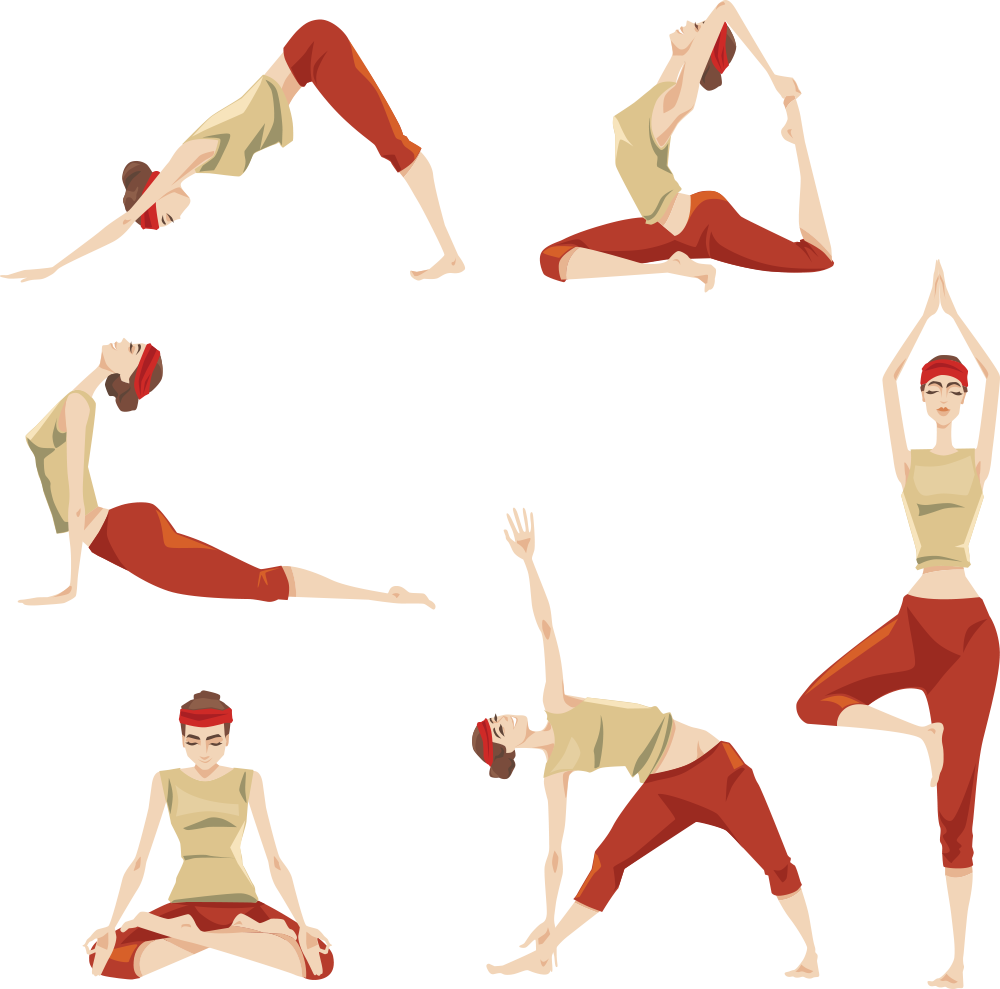 Yoga Beauty Vector Fitness Exercise Physical PNG Image