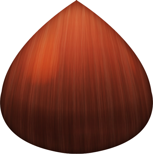 Chestnut Emoji Icon File HD PNG Image