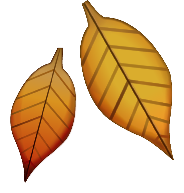 Fallen Leaf Emoji Icon File HD PNG Image