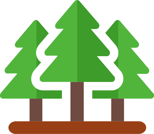 Forest PNG Image