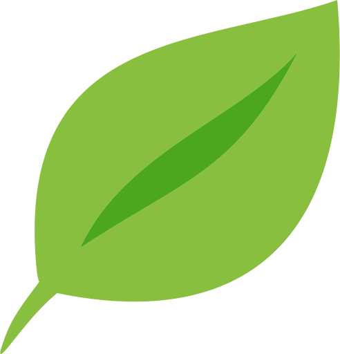 Green Leaf PNG Image