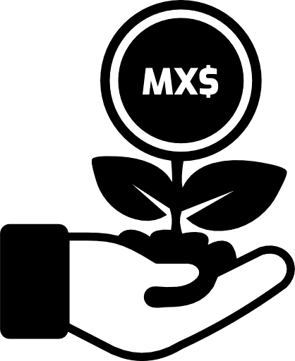 Investment Mexican Peso PNG Image
