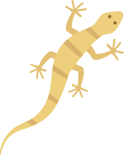 Lizard Gecko Color PNG Image