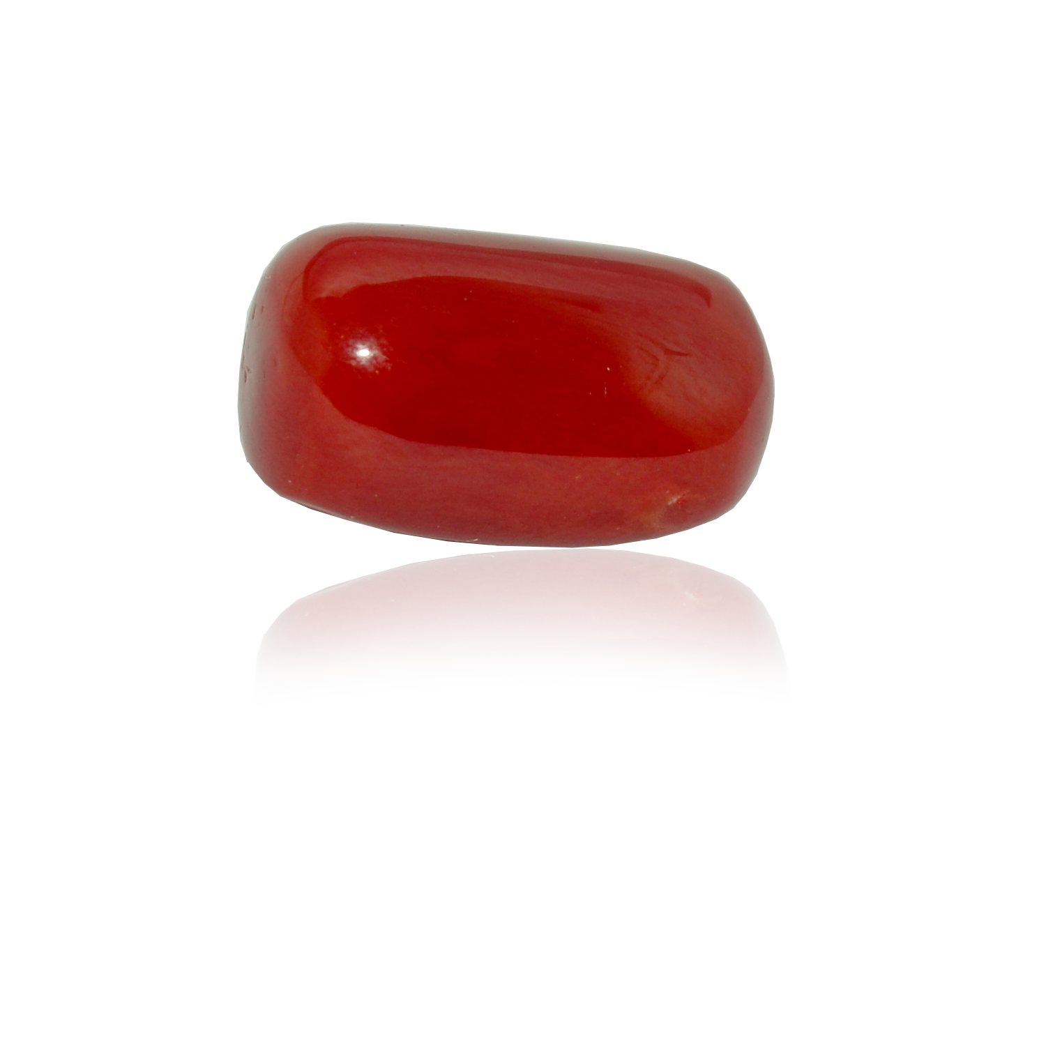 Coral Gem Red Free PNG HQ PNG Image