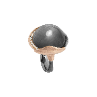 Moonstone Jewellery Download HQ
