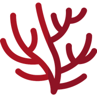 Coral Red HQ Image Free