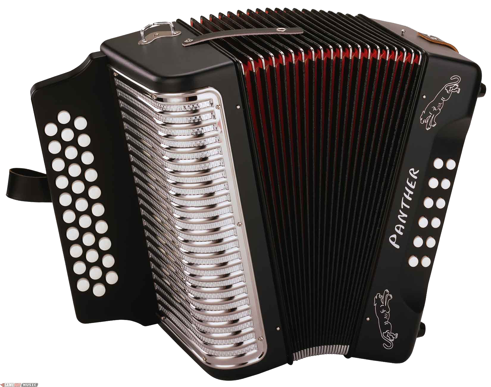 Accordion Image PNG Image