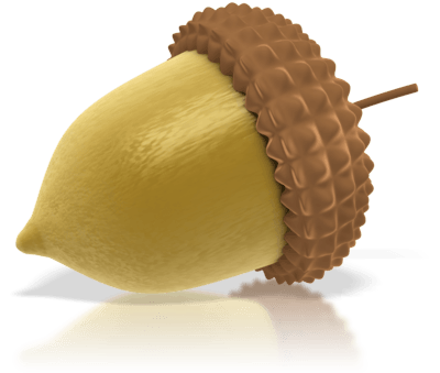 Acorn Png Image Acorns PNG Image