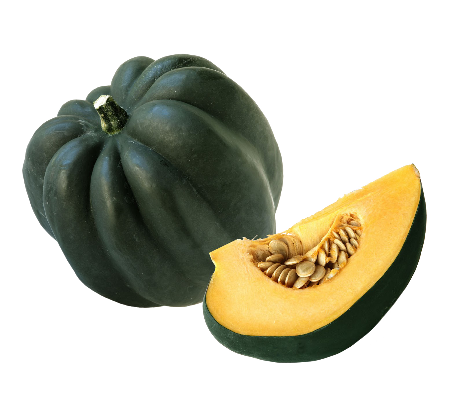 Squash Acorn PNG Free Photo PNG Image