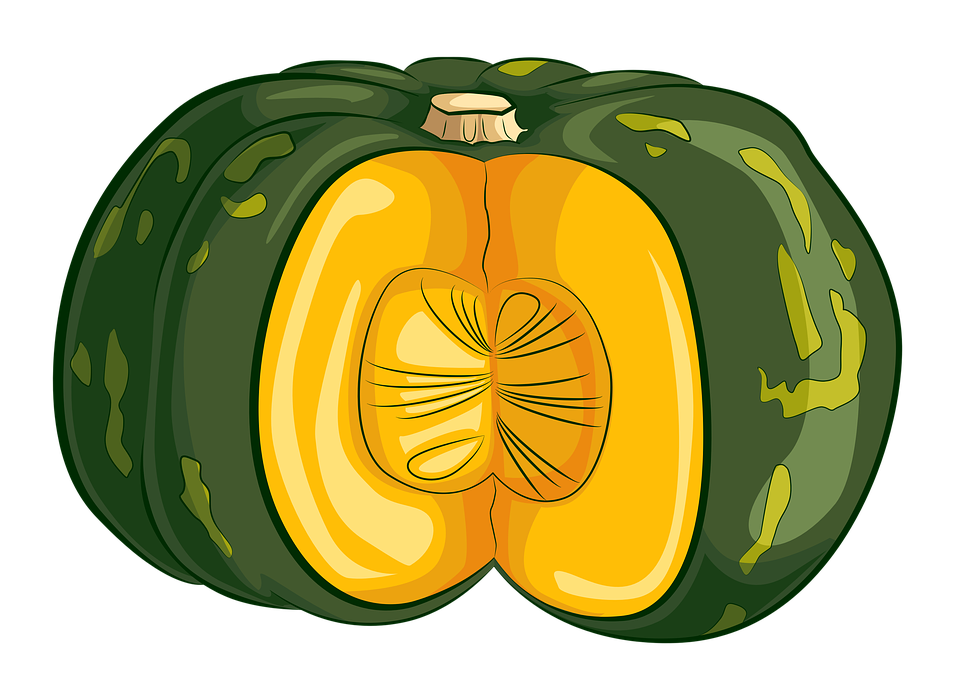 Squash Acorn Free HQ Image PNG Image