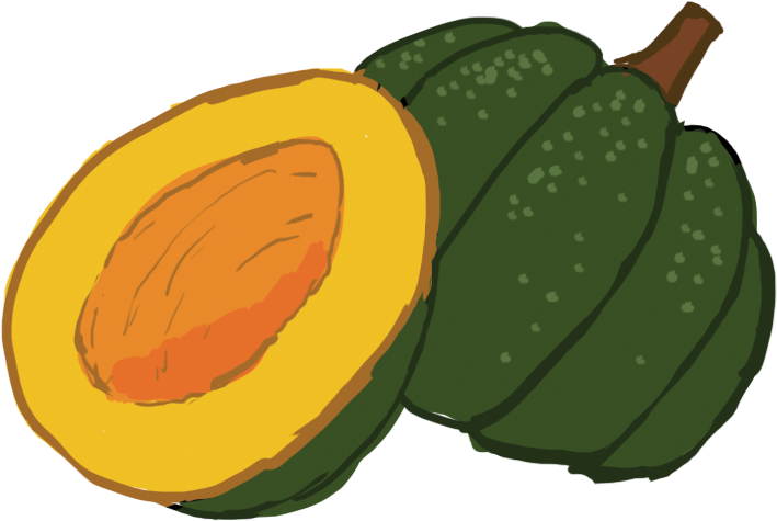 Photos Acorn Ripe Squash Download HQ PNG Image