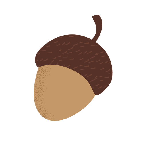 Acorn Download HD PNG Image