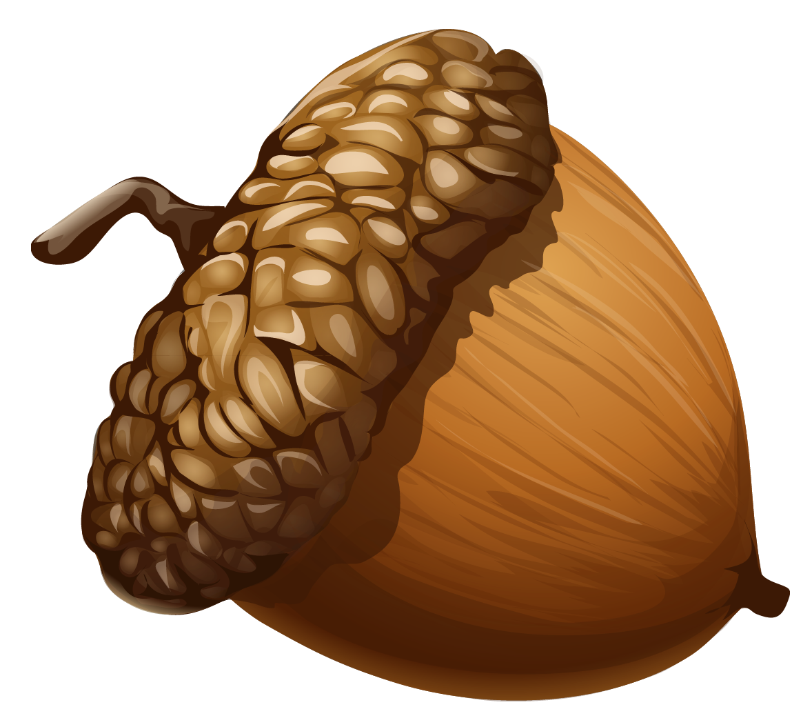 Acorn Png 5 PNG Image