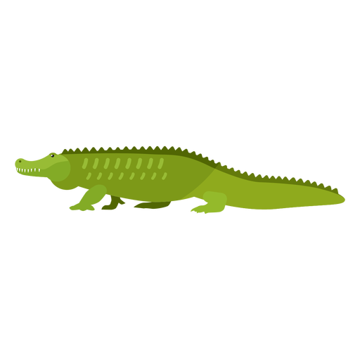 Alligator Vector Download Free Image PNG Image