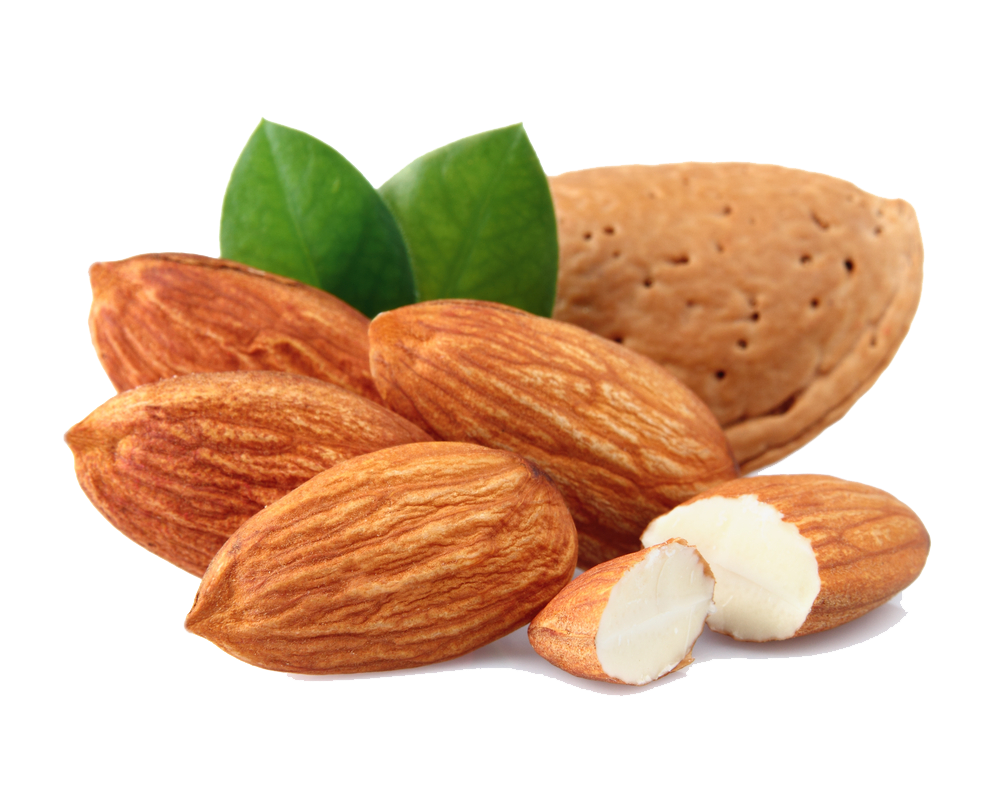 Almond Free Download Png PNG Image