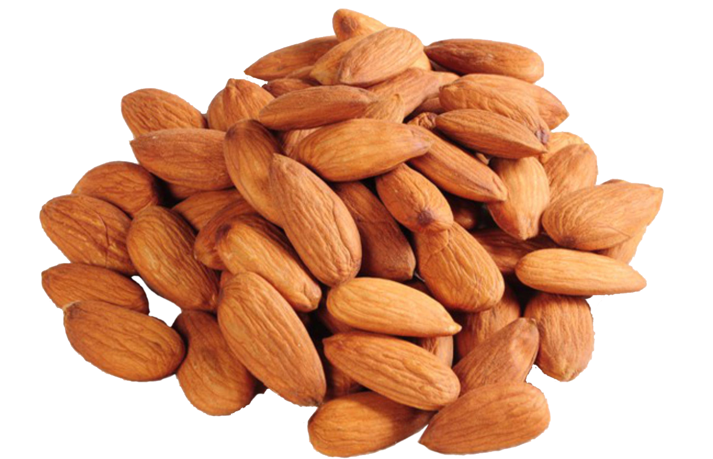 Nut Almond Free Download PNG HQ PNG Image