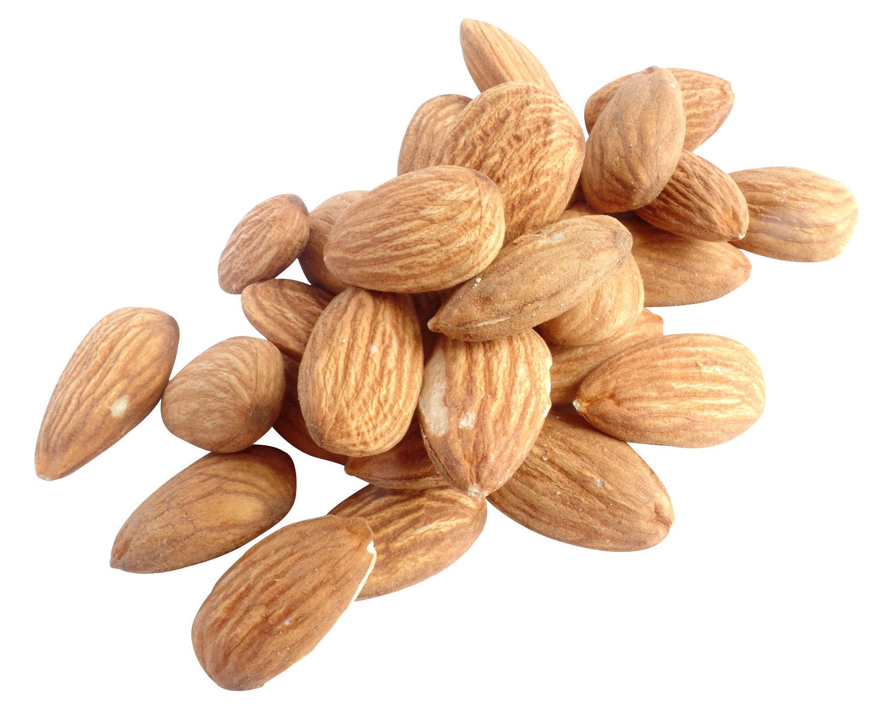 Nut Almond Free Download Image PNG Image