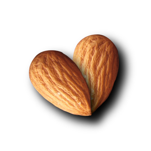Nut Almond PNG File HD PNG Image